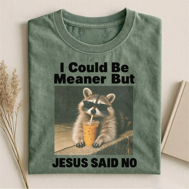 I Could Be Meaner But Jesus Said No Raccoon T-shirt