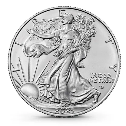【Black Friday Early Bird Sale 】 American Eagle 2025 Silver Proof Coin