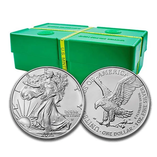 【Black Friday Early Bird Sale 】 American Eagle 2025 Silver Proof Coin