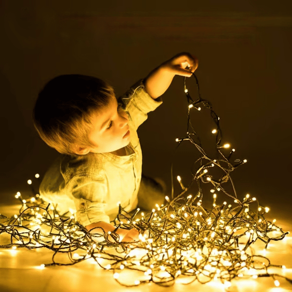 🎄Outdoor and Indoor Christmas Lights-Claire Custom