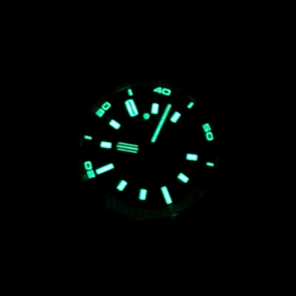 Audemars Piguet Royal Oak Offshore Men's Sport Watch