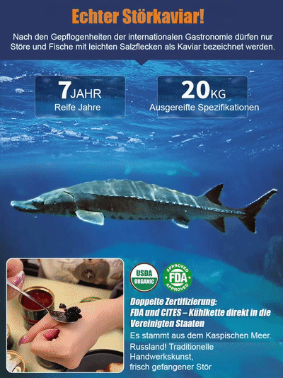 Russischer importierter Störkaviar.