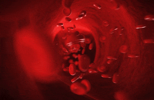 36f8e775ef62a58b4bd434f91c928630.gif