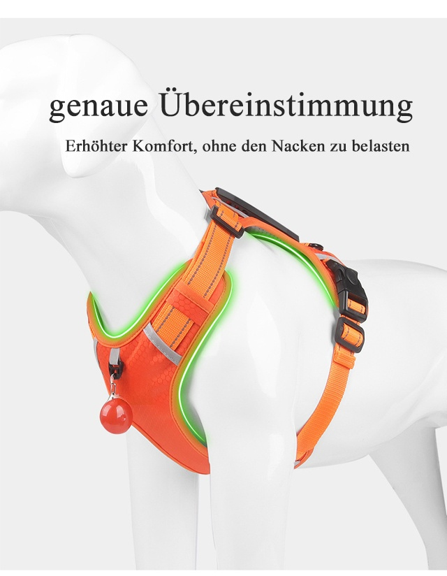 Robustes explosionssicheres Geschirr für Katzen