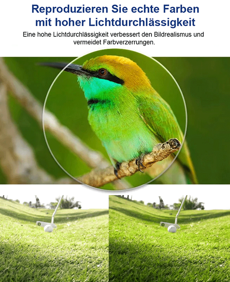 Smart-Autofokus-Lesebrille | Stufenlose Anpassung -10 bis +10 Dioptrien | Optik-Qualität aus Jena 👓