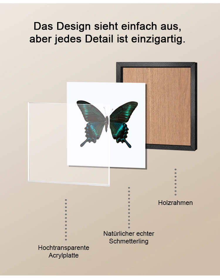 Handgefertigtes Schmetterlingspräparat im Rahmen
