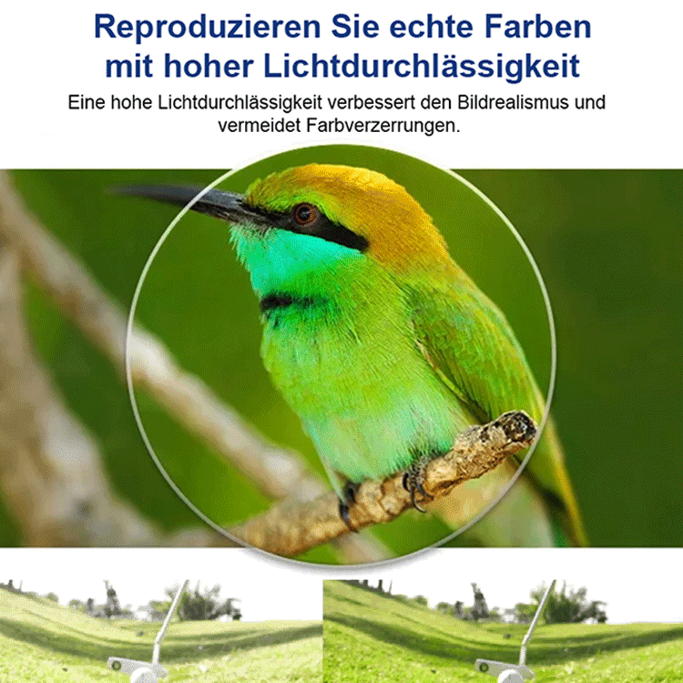 Ultra-Light Sports Anti-Fog HD Blue Light Blocking Reading Glasses