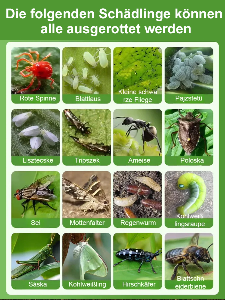 🌱 Bodenkur wie im Botanischen Garten Berlin: Belebt Ihre Erde, verdoppelt das Pflanzenwachstum!