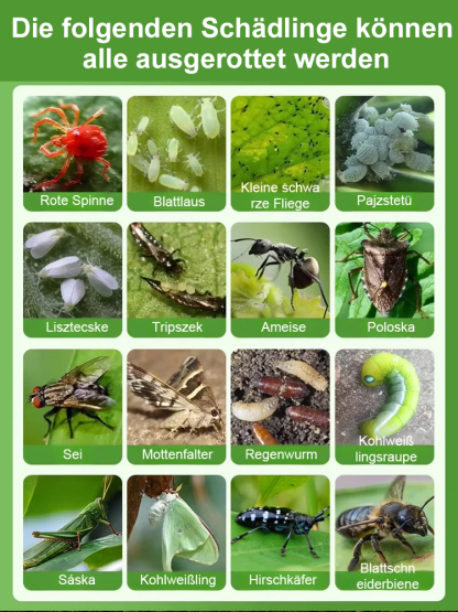 🌱 Bodenkur wie im Botanischen Garten Berlin: Belebt Ihre Erde, verdoppelt das Pflanzenwachstum!