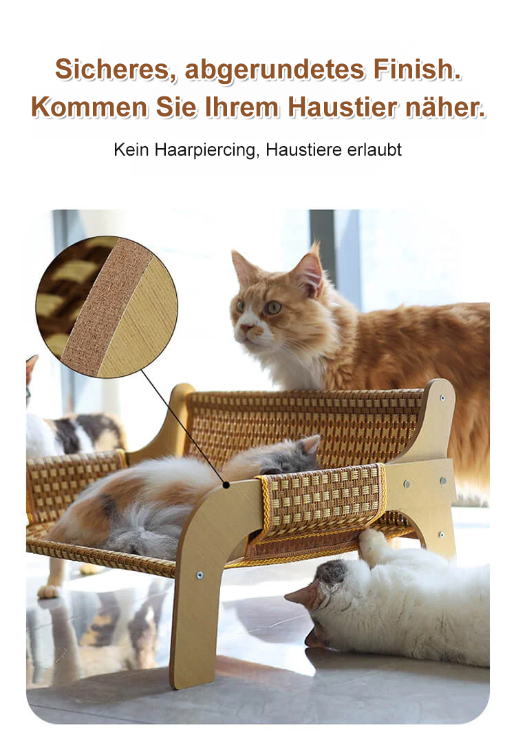 Multifunktionaler Kratzstuhl als Schlaf- und Spielplatz für Katzen