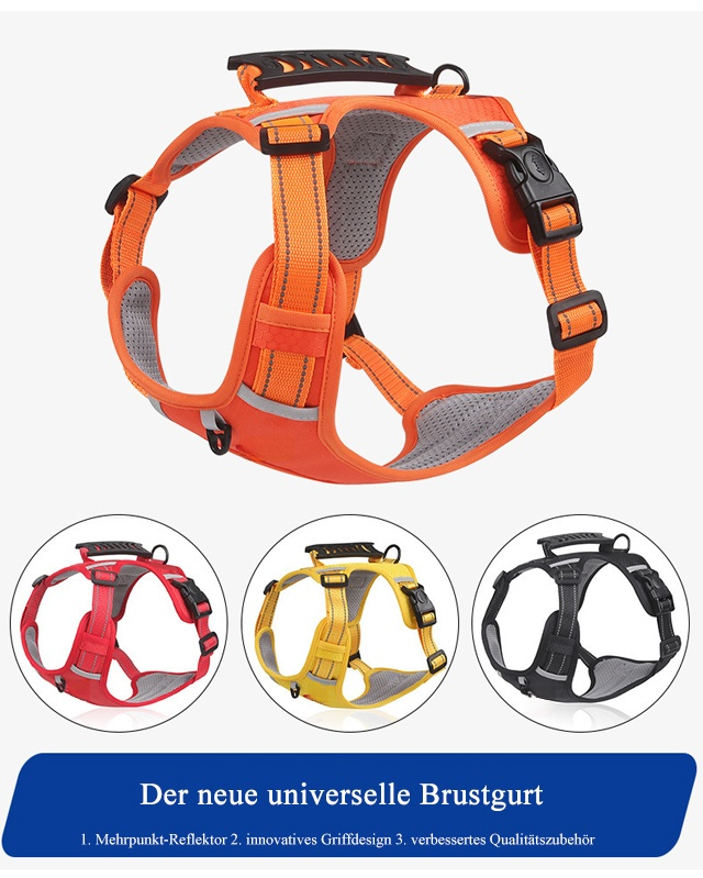 Innovatives explosionssicheres Design für Haustiergeschirr