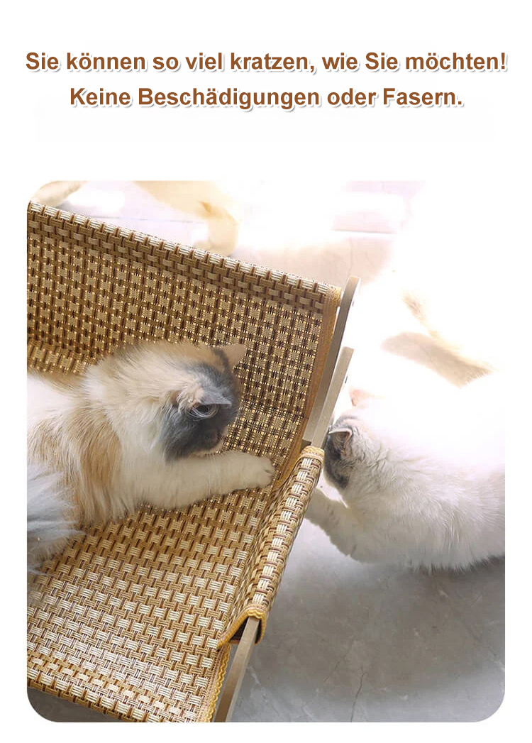 Katzenmöbel: Kratzstuhl mit Kuschelnest für Katzen