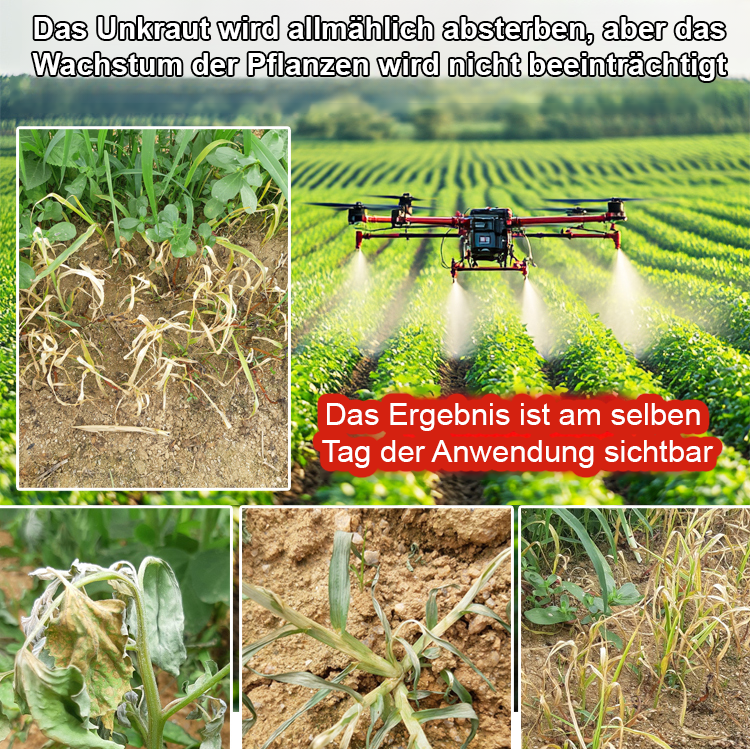 Doppelt zertifiziert (Landwirtschaft & Umwelt): Wirkt in 3 Stunden, nach 2 Tagen neu bepflanzbar, 100 % umweltfreundlich