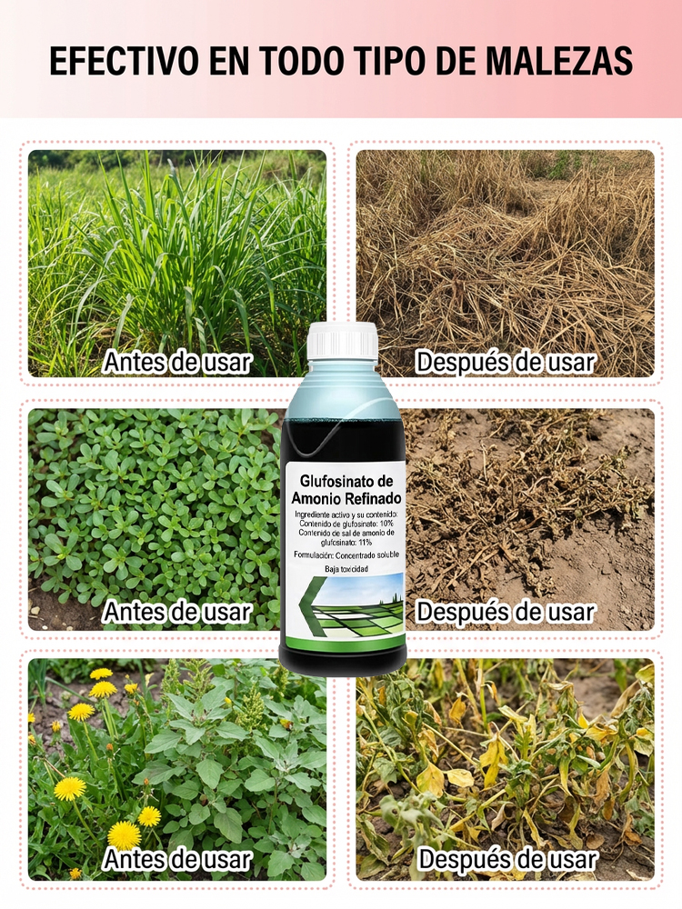 ¡El más nuevo herbicida biológico y ecológico de 2026 que combate malezas de manera específica! 🌿 ¡Efecto visible en solo 3 horas y disfruta de 3 años libres de malezas con una sola aplicación! 🚫🌱