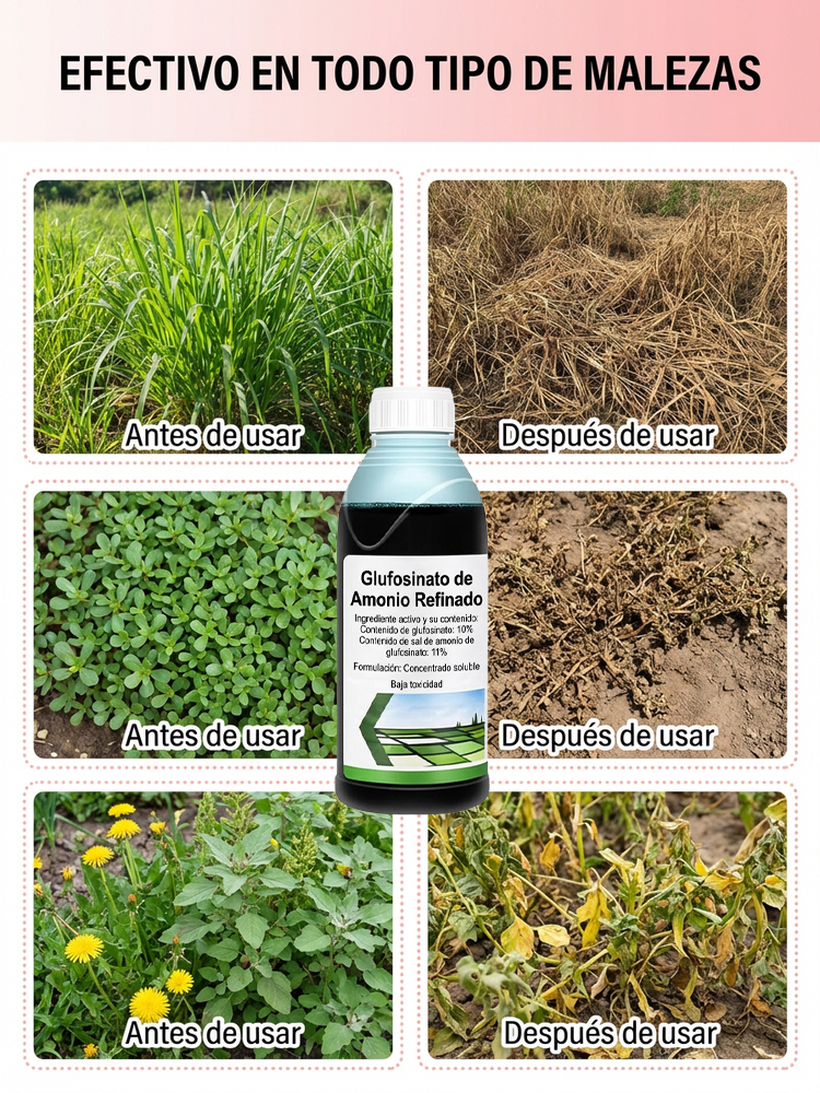 ¡El más nuevo herbicida biológico y ecológico de 2026 que combate malezas de manera específica! 🌿 ¡Efecto visible en solo 3 horas y disfruta de 3 años libres de malezas con una sola aplicación! 🚫🌱