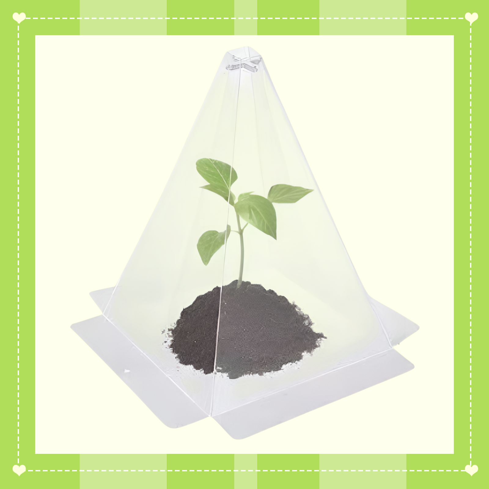 Cono protector para plántulas contra heladas y aves – Cubierta verde tipo campana para plantas