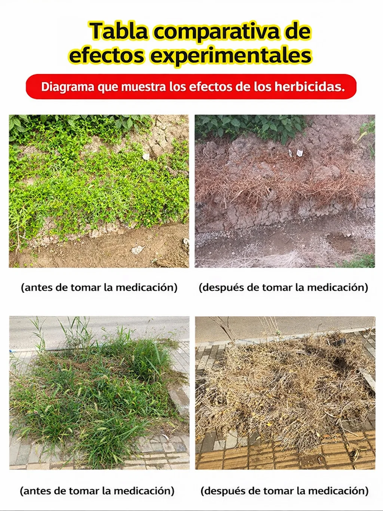⚡Herbicida Potente Rinde 750m²: Elimina Raíz y Semilla, Efecto en 3 Horas, 3 Años Sin Maleza, Seguro para Cultivos y Animales 🌿