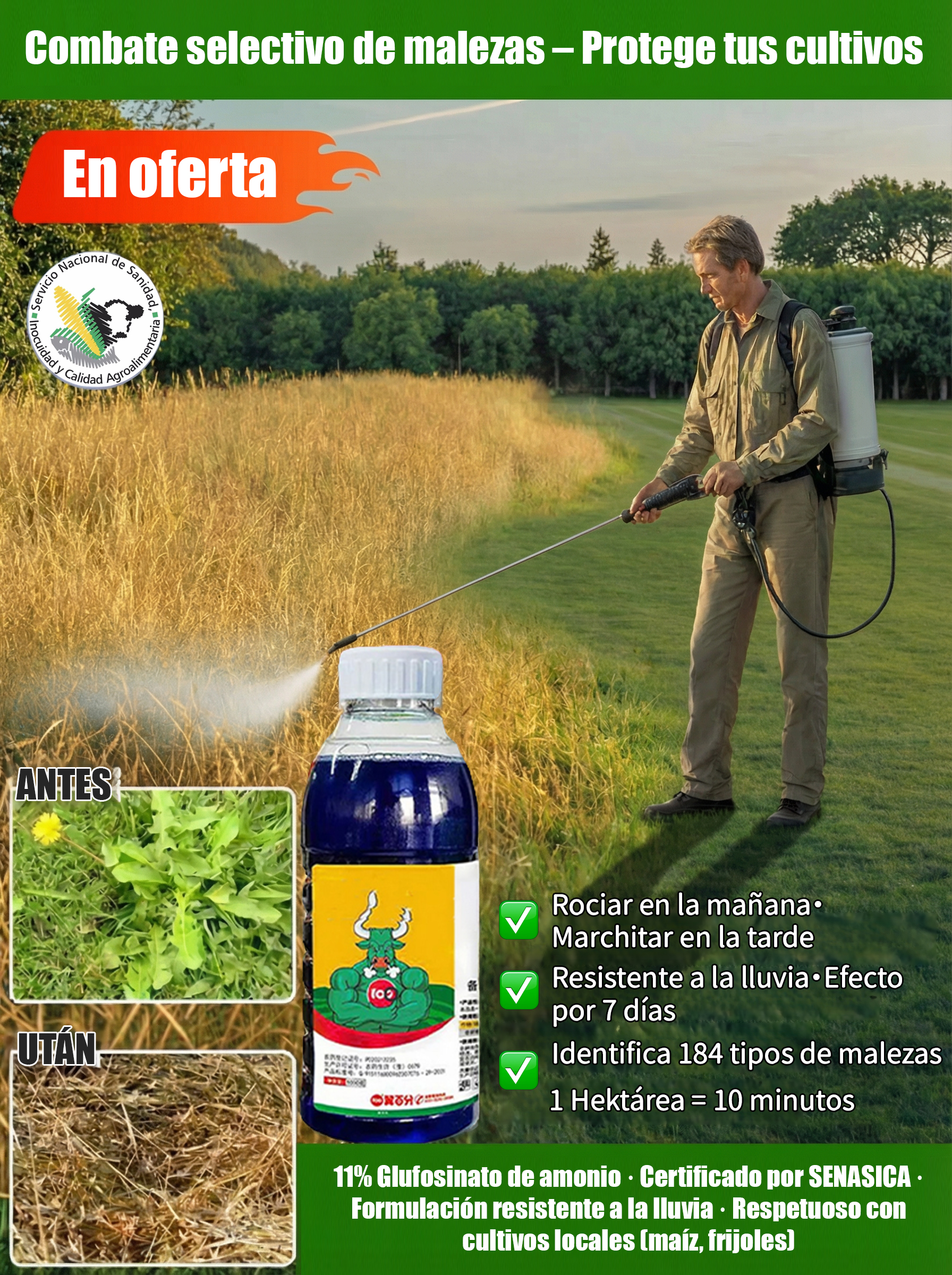 🚫🌿 ¡Maleza Muerta por 3 Años! Herbicida Pro de California: Efecto en 3 Horas y Seguro para Cultivos 🌽