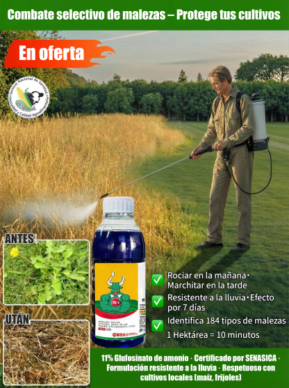 🚫🌿 ¡Maleza Muerta por 3 Años! Herbicida Pro de California: Efecto en 3 Horas y Seguro para Cultivos 🌽