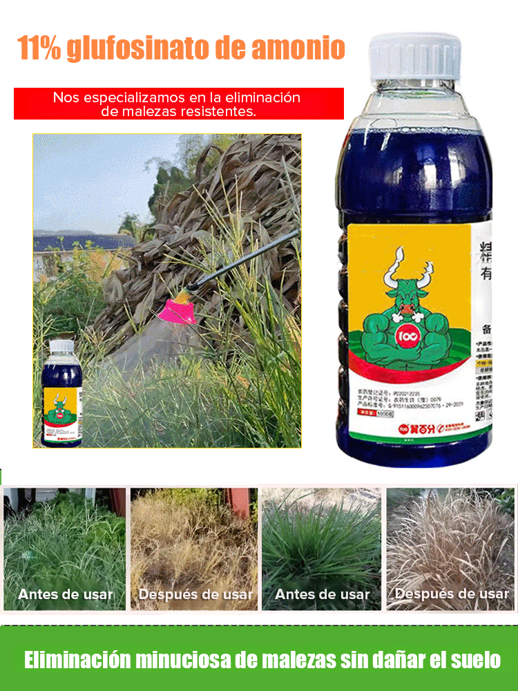 🚫🌿 ¡Maleza Muerta por 3 Años! Herbicida Pro de California: Efecto en 3 Horas y Seguro para Cultivos 🌽