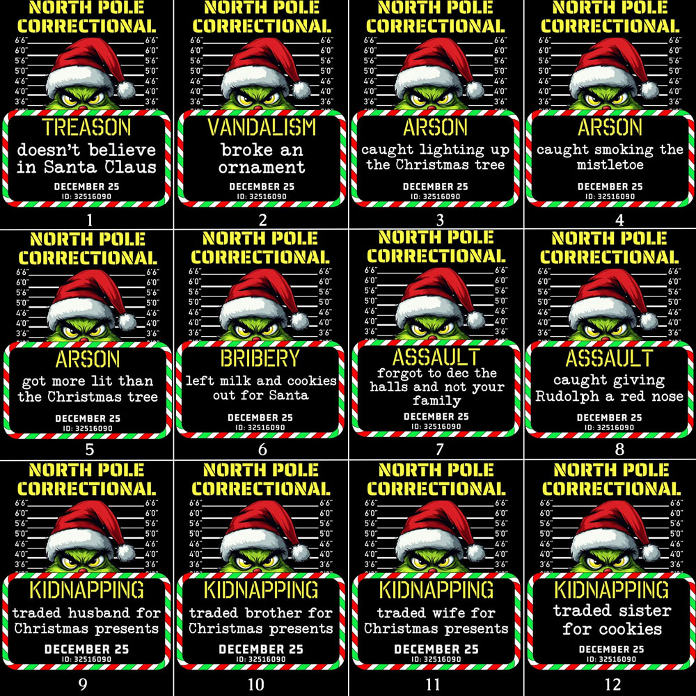 North Pole Correctional Quotes Family Matching T-Shirts