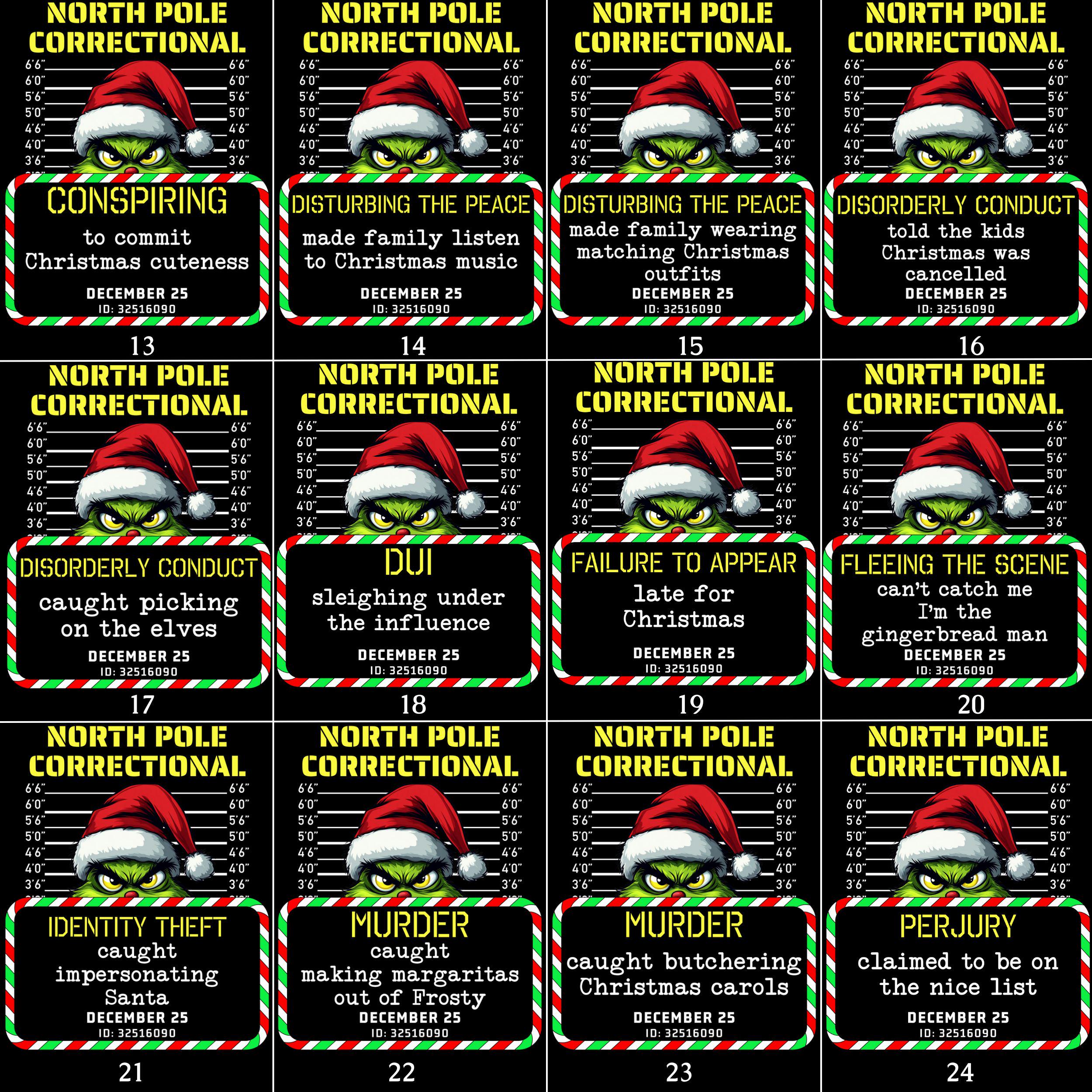 North Pole Correctional Quotes Family Matching T-Shirts