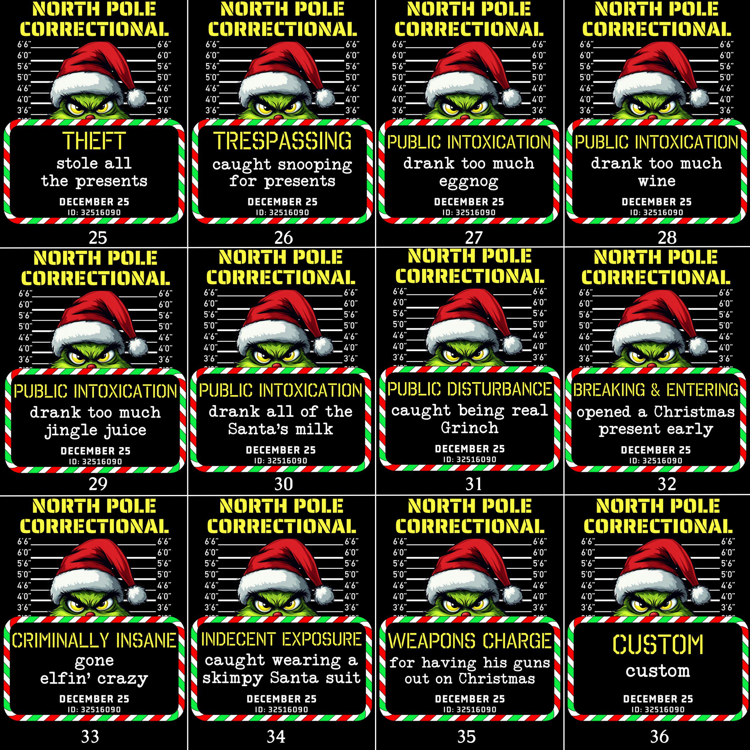 North Pole Correctional Quotes Family Matching T-Shirts