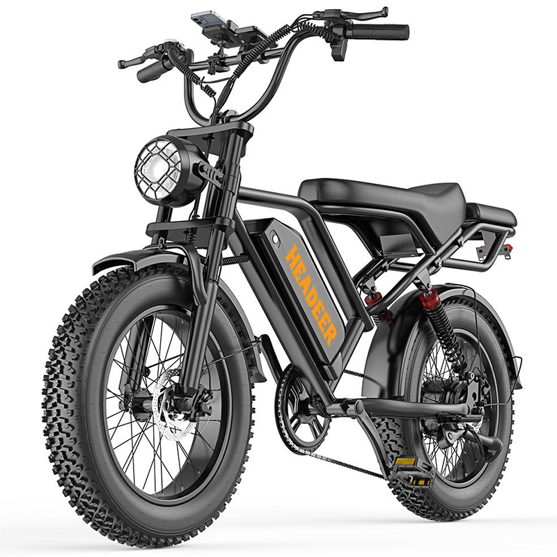 HEADEER BK20 Electric Dirt Bike,48V 20AH Battery,750W Motor,50KM/H Top Speed,80 km Max Rnage,20 INC aerodynamic tires