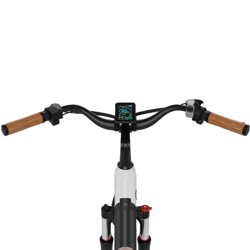 Headeer BD26195 City Electric Bike 48V 11.5Ah Removable Battery,350W Motor,35Km/h Max Speed,55Km Max Range