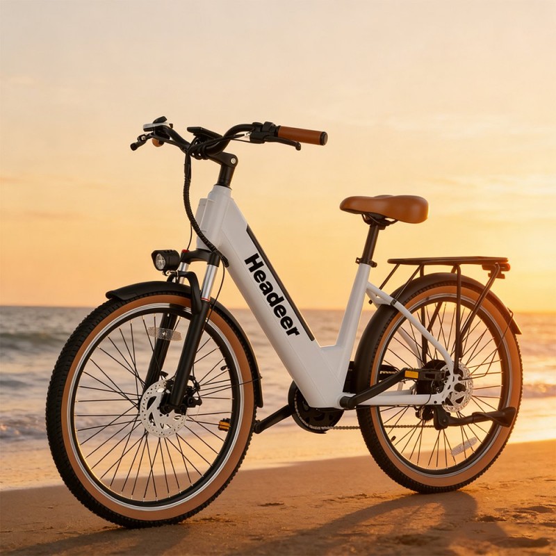Headeer BD26195 City Electric Bike 48V 11.5Ah Removable Battery,350W Motor,35Km/h Max Speed,55Km Max Range