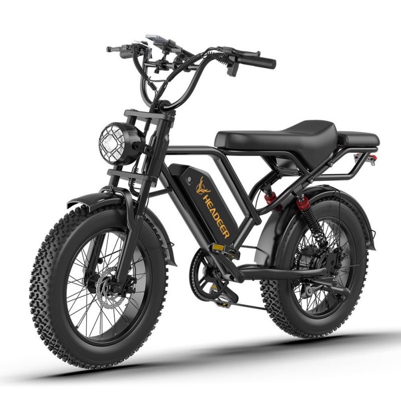 HEADEER BK20 Electric Dirt Bike,48V 20AH Battery,750W Motor,50KM/H Top Speed,80 km Max Rnage,20 INC aerodynamic tires