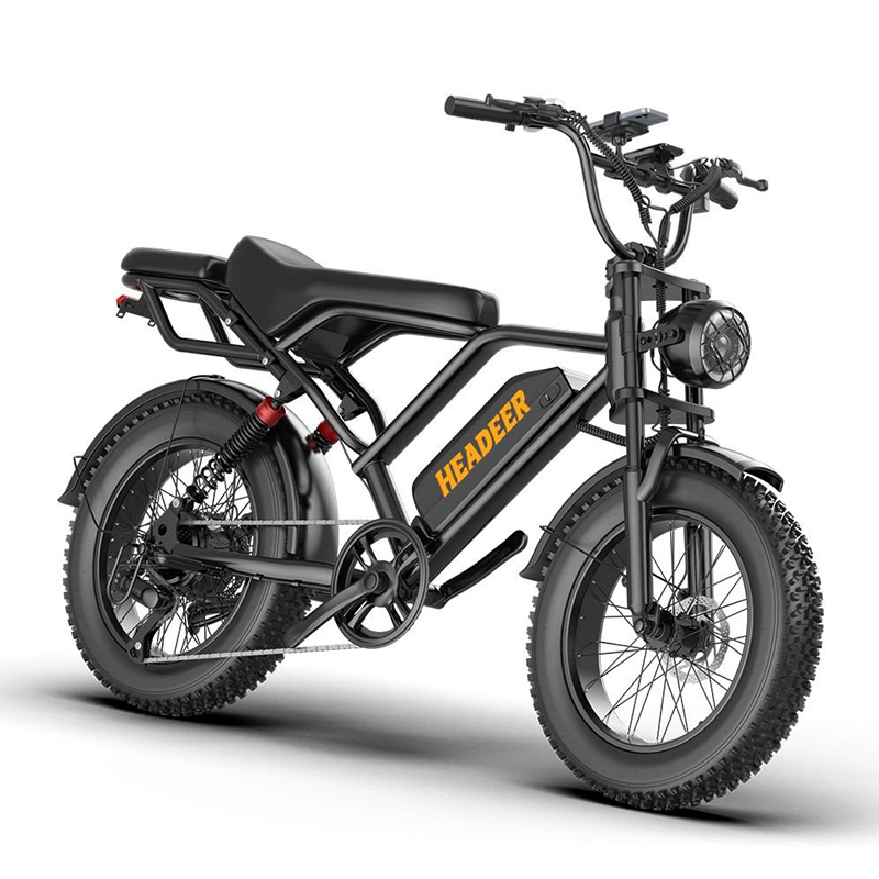 HEADEER BK20 Electric Dirt Bike,48V 20AH Battery,750W Motor,50KM/H Top Speed,80 km Max Rnage,20 INC aerodynamic tires