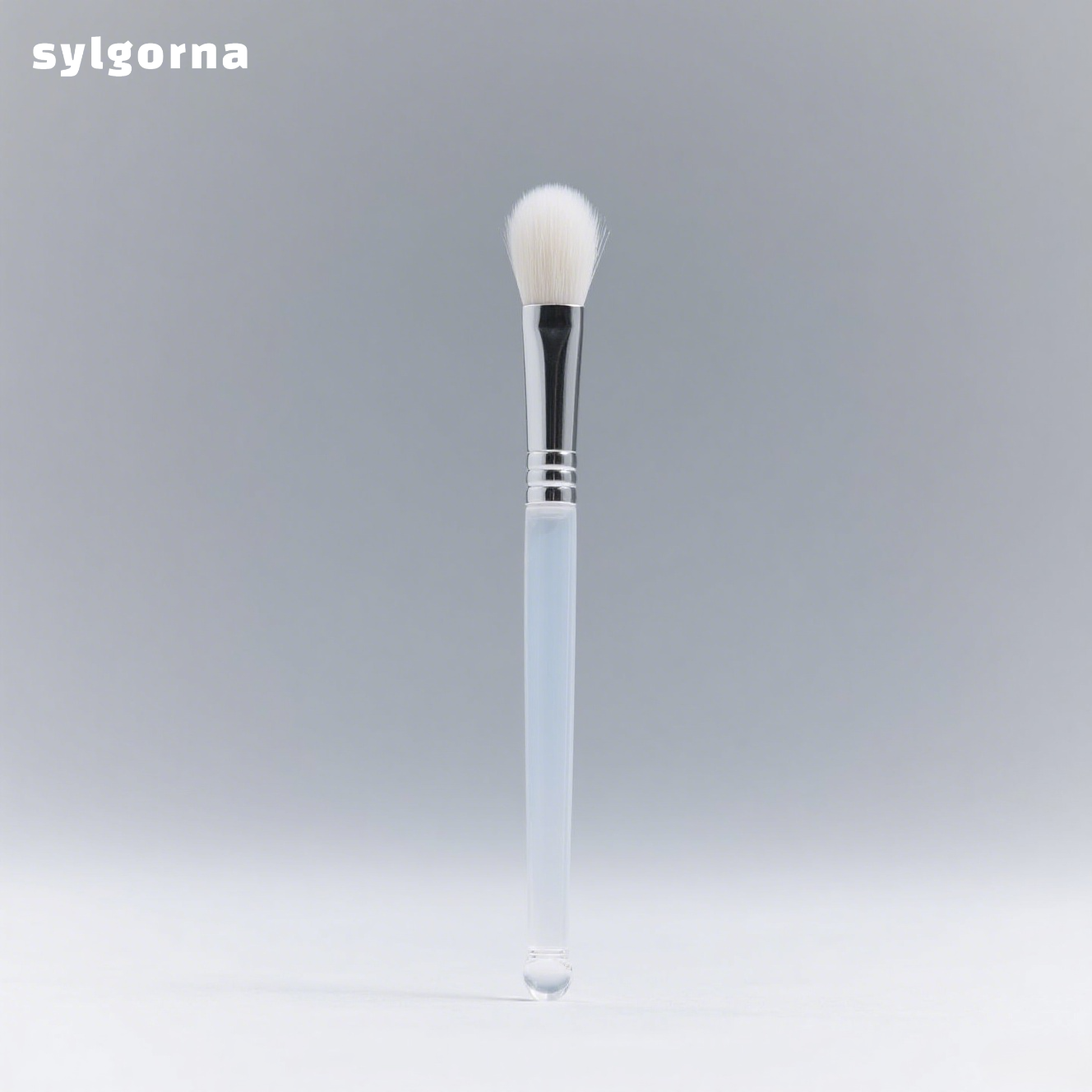Lip brush (set of two)