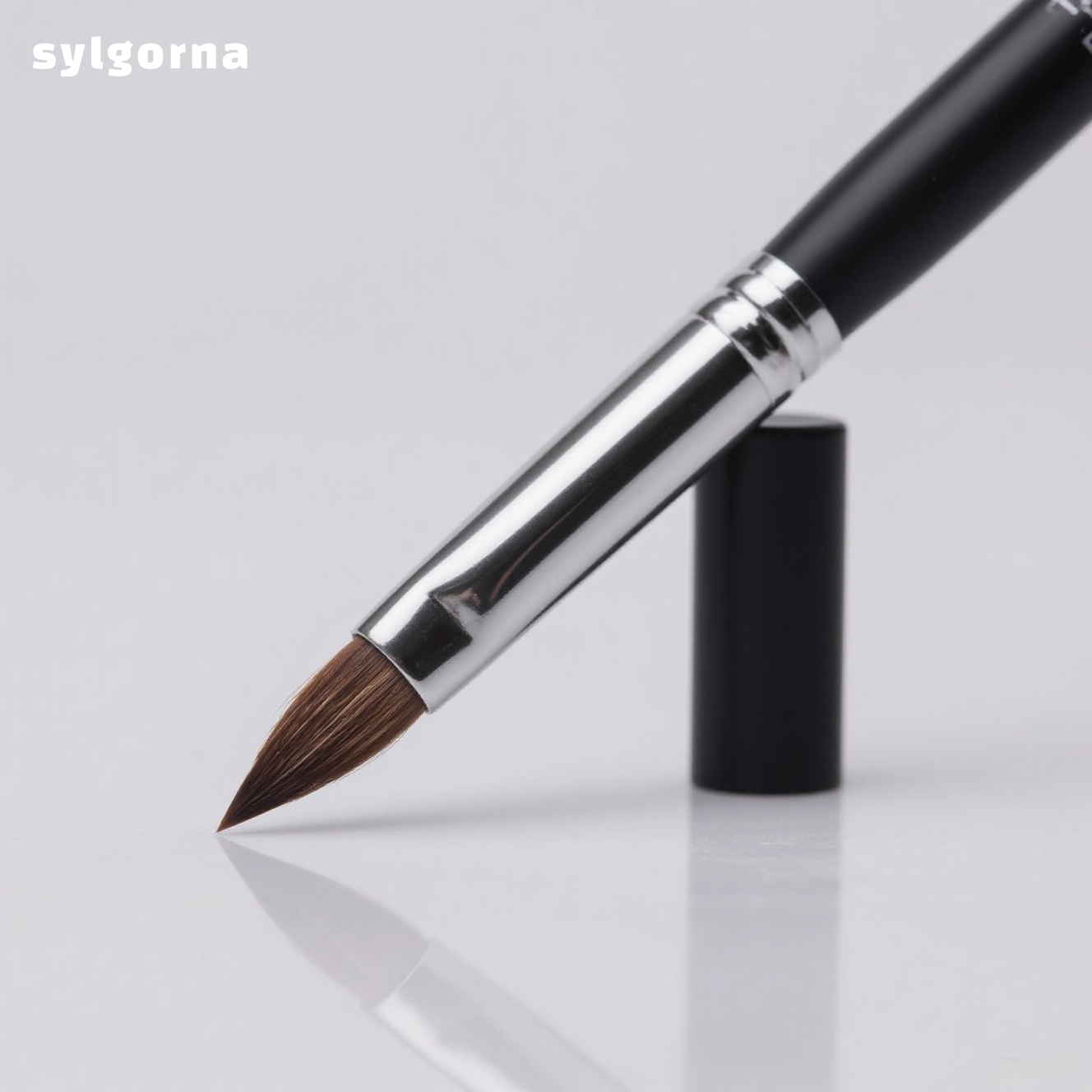 Fine Pointed Eyeshadow Brushes (Pack of 8)