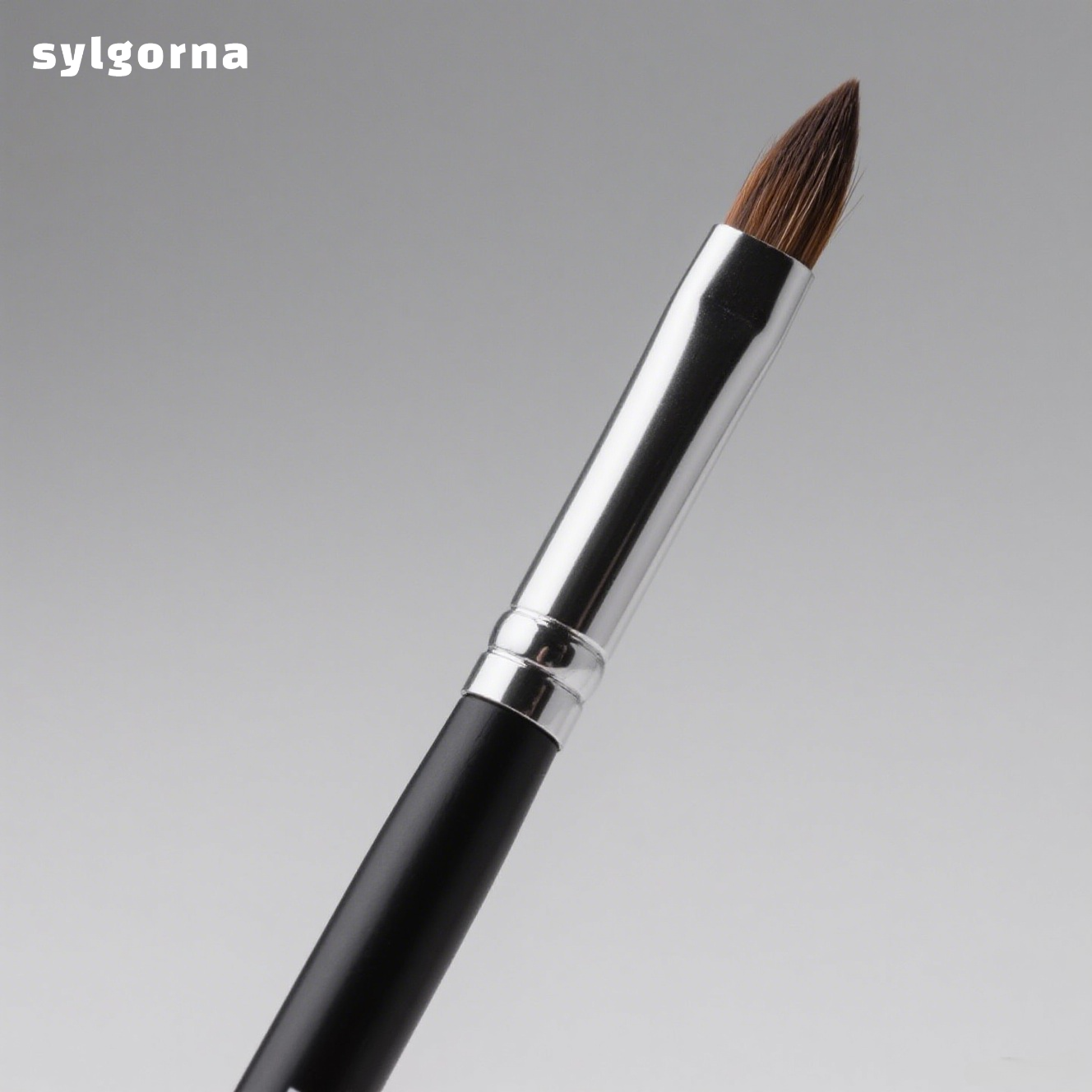 Fine Pointed Eyeshadow Brushes (Pack of 8)