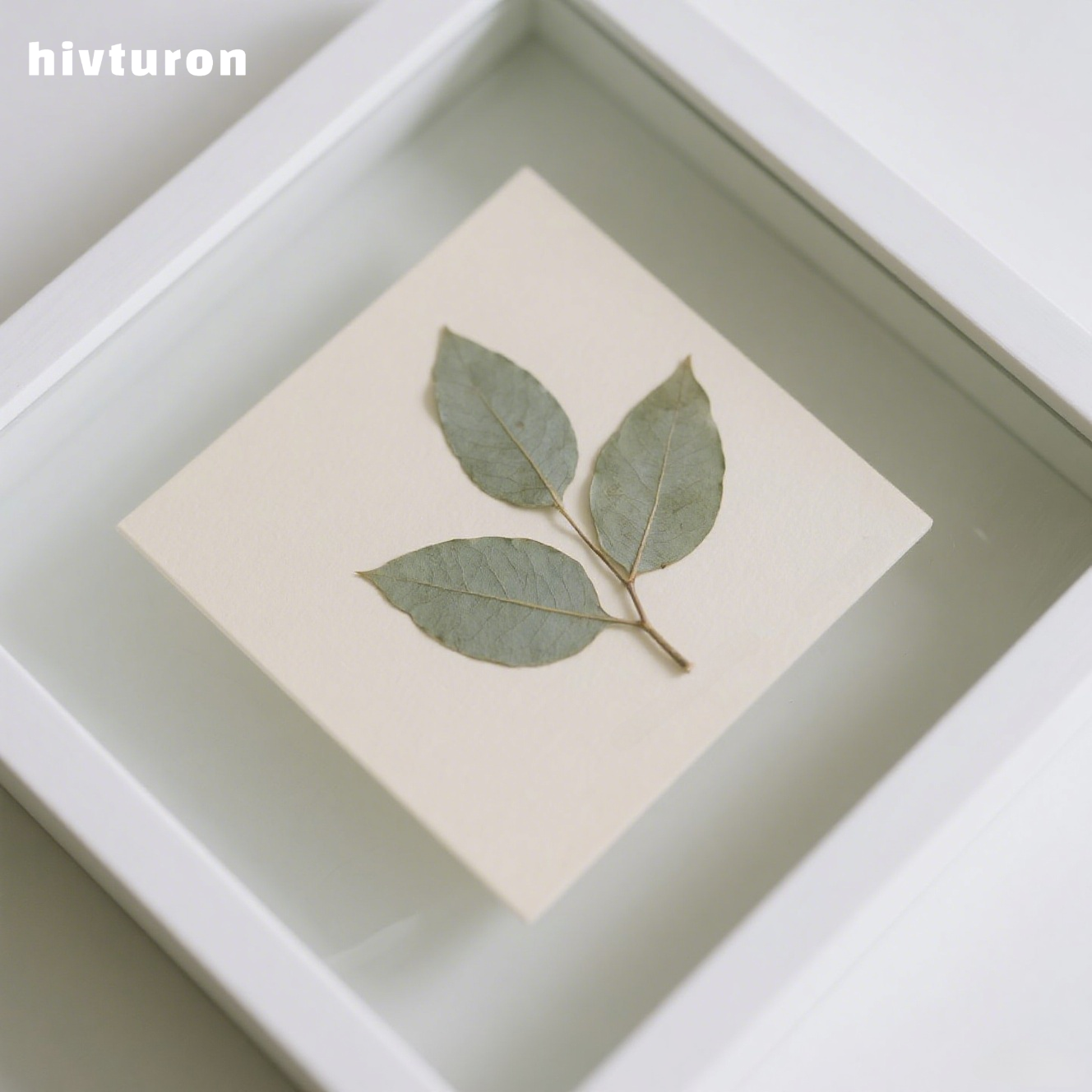 Plant specimen decorative painting