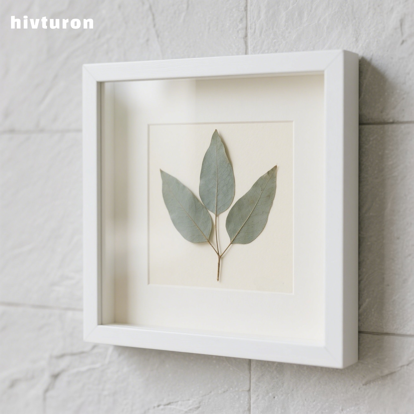 Plant specimen decorative painting