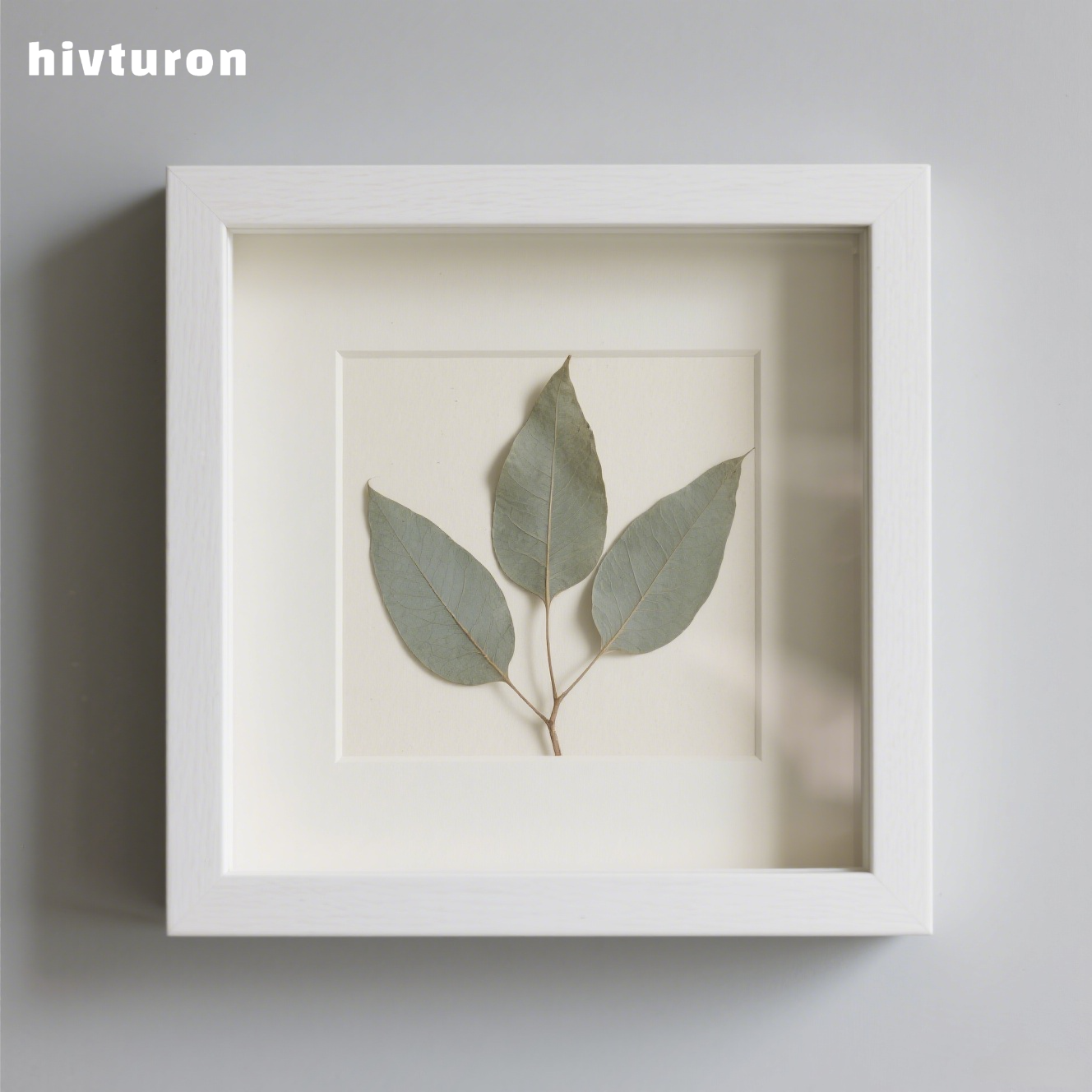 Plant specimen decorative painting