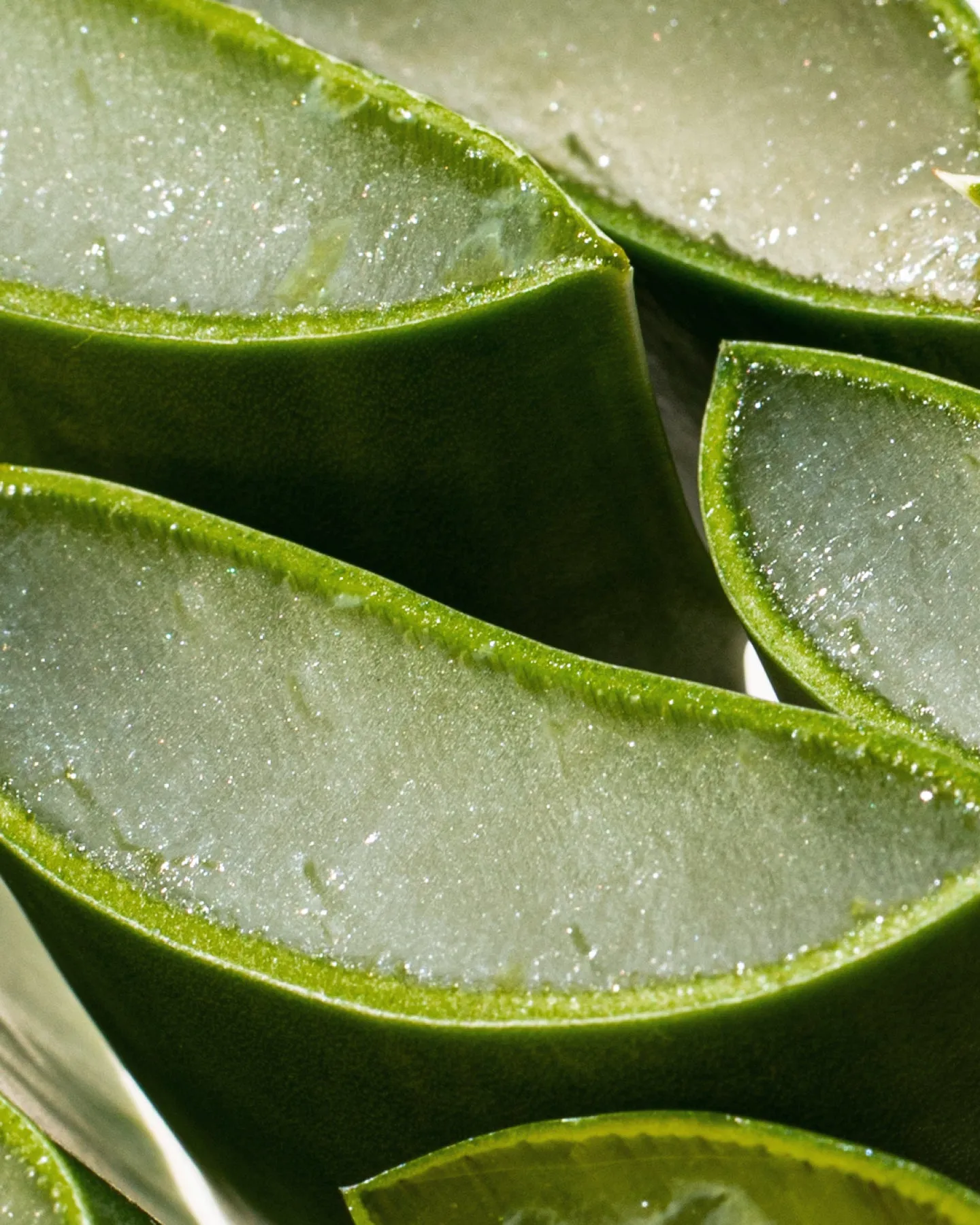 aloe gel lash & brow mascara