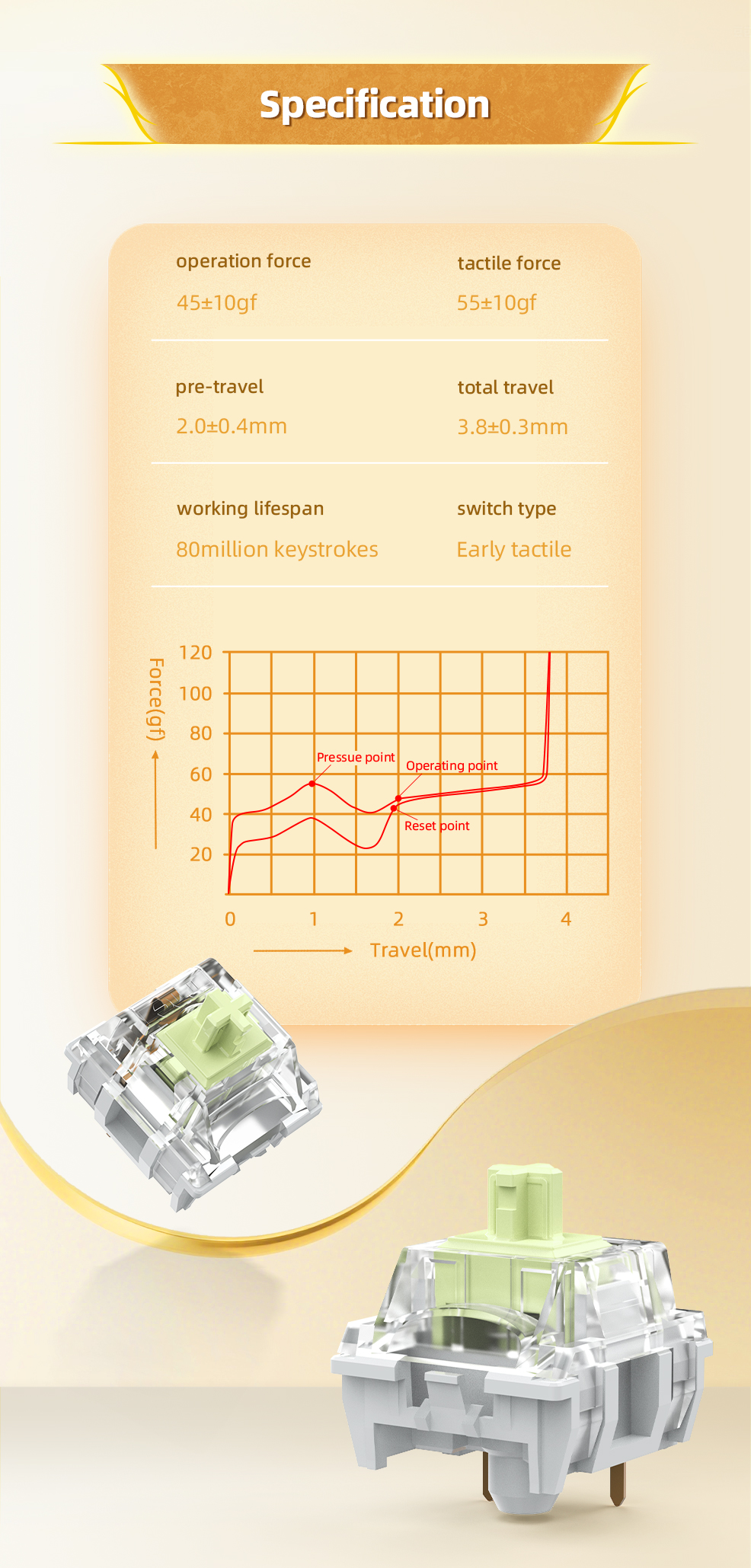 TTC Mojin Switch- Tactile HiFi Style