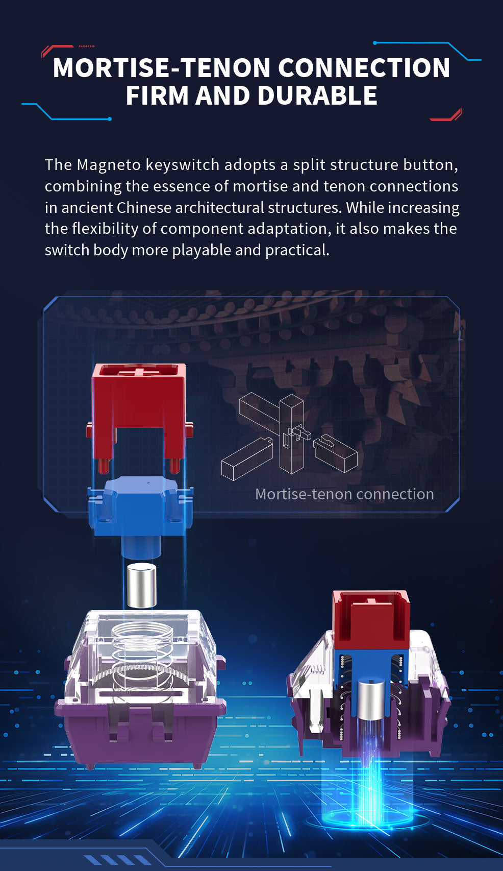 HM66 + TTC KOM 5個 06.jpg?w=986&h=1706