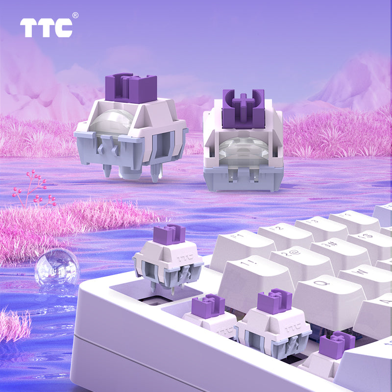 TTC Mysteries Mechanical Switch