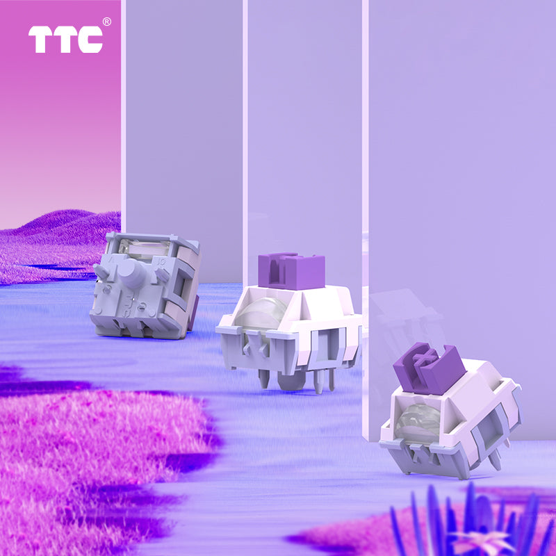 TTC Mysteries Mechanical Switch