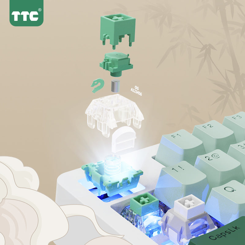 TTC Chinese Zodiac Snake Magnetic Switch