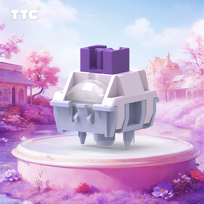 TTC Mysteries Mechanical Switch