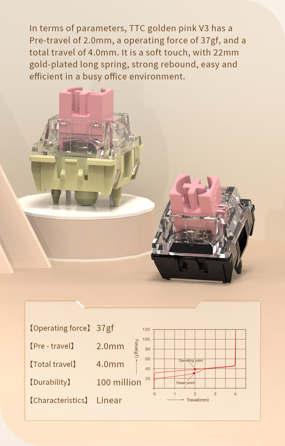 K TTC Golden Pink V3 Mechanical Switch – TTC Switch