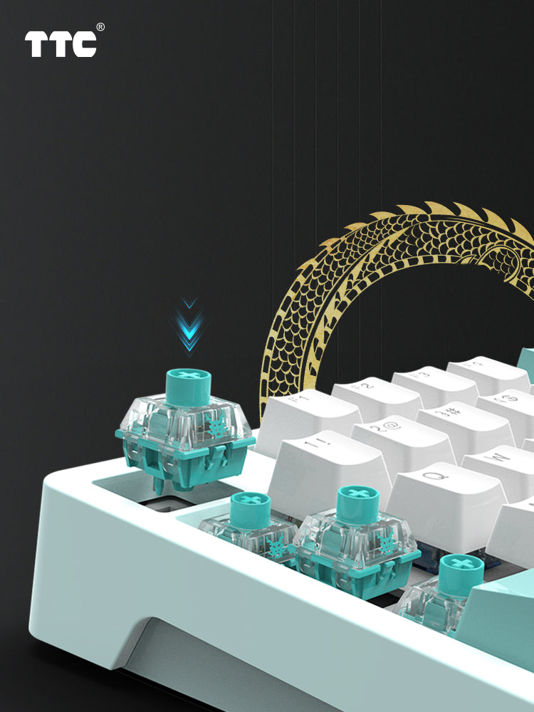 TTC Qing Loong Mechanical Switch