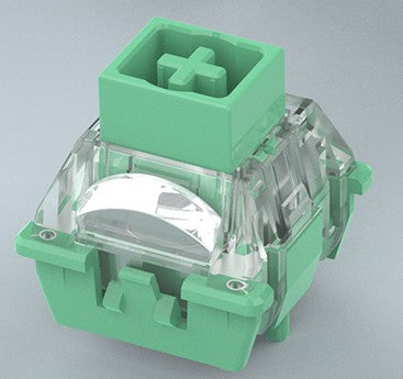 TTC Chinese Zodiac Snake Magnetic Switch