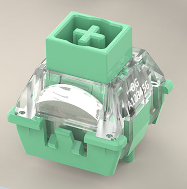 TTC Chinese Zodiac Snake Magnetic Switch