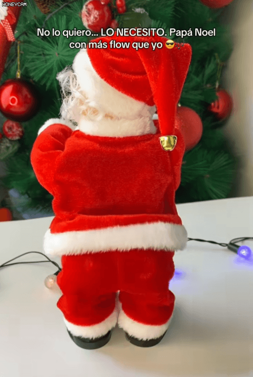 Honeycam 2025-11-29 13-49-30.gif